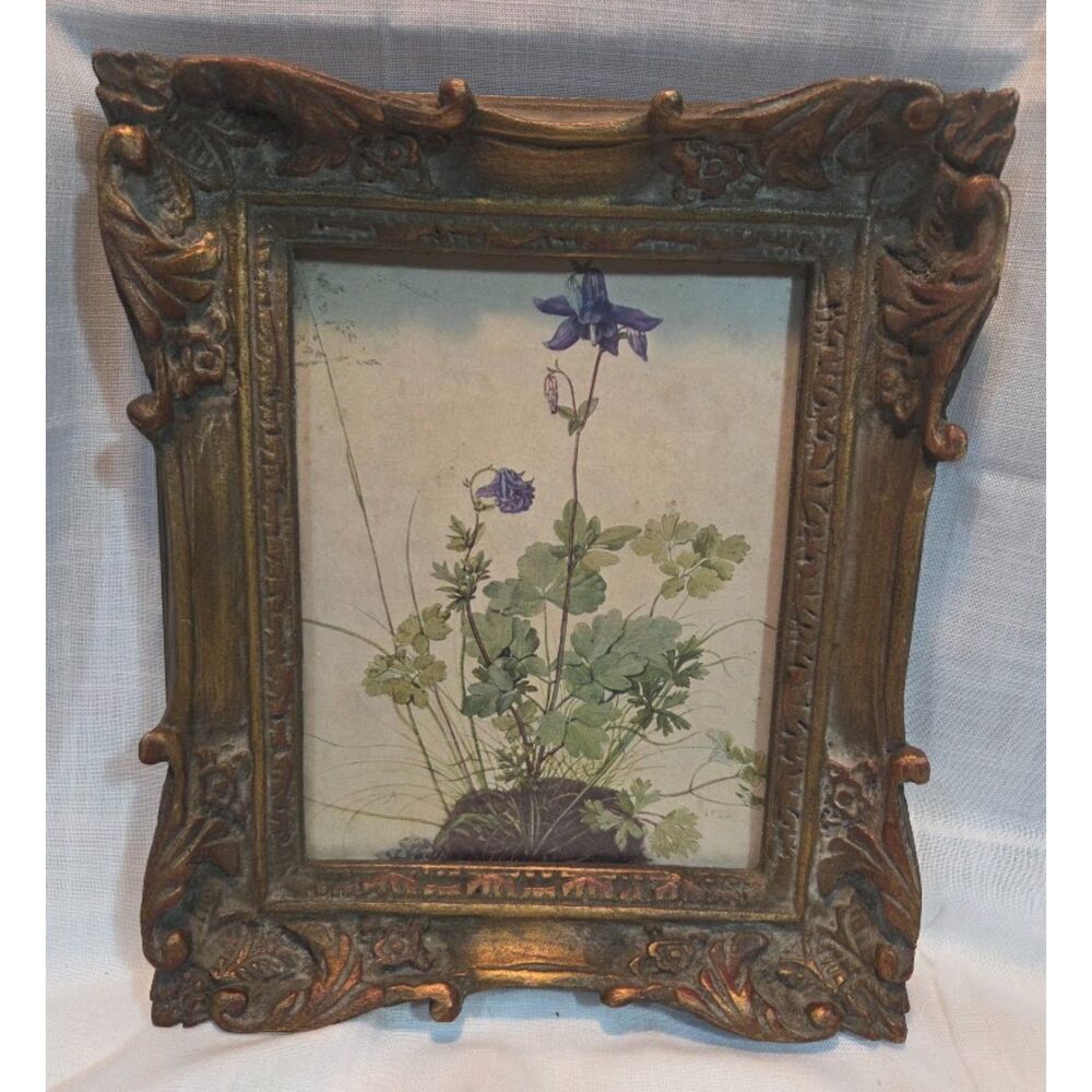 Vintage Framed Botanical Flower Print Ornate Gold Gesso Frame 11x14 Cottage